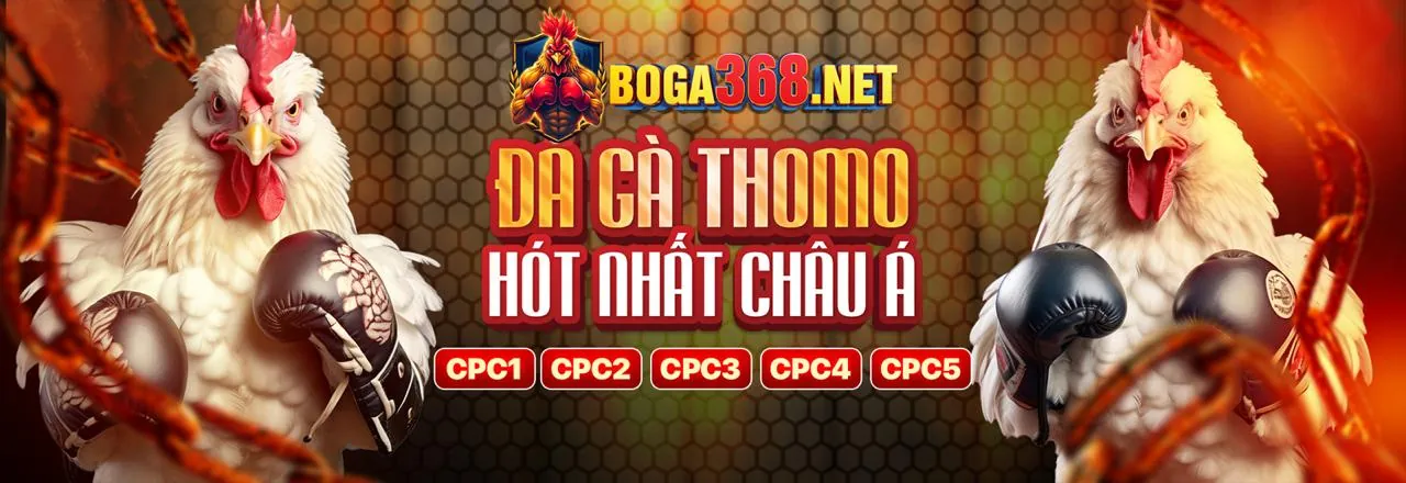 Tổng hợp tin tức và phân tích chuyên sâu về Thomo C2