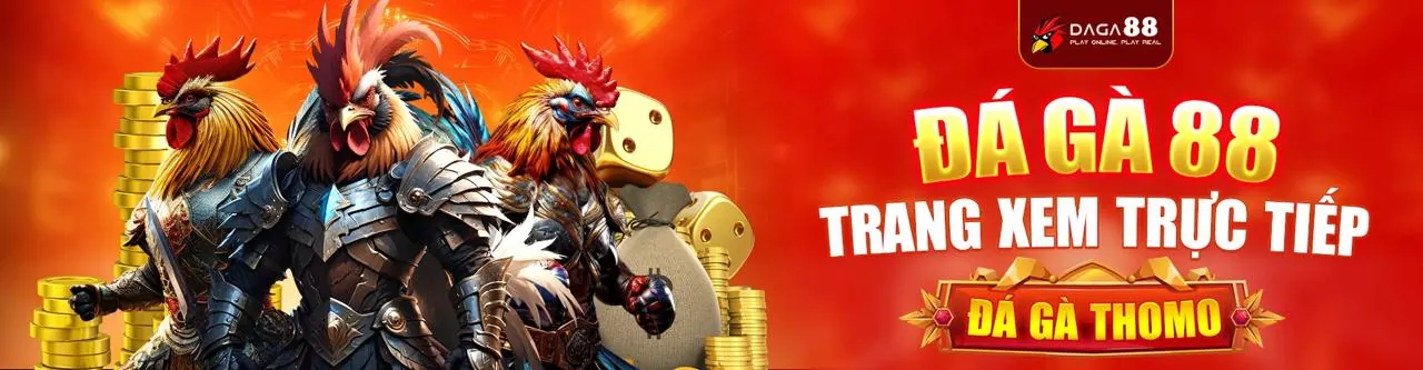 Giới thiệu Thomo C2 và các dịch vụ cá cược uy tín