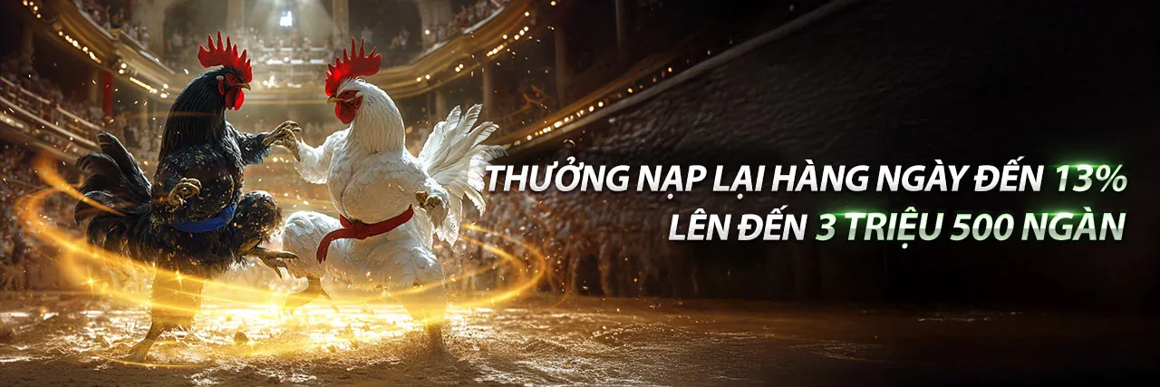Sân đá gà Thomo C2 trực tuyến