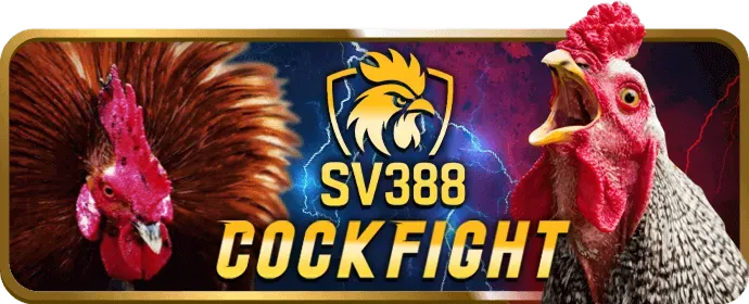 Hình ảnh minh họa các mẹo chơi game bài thắng lớn